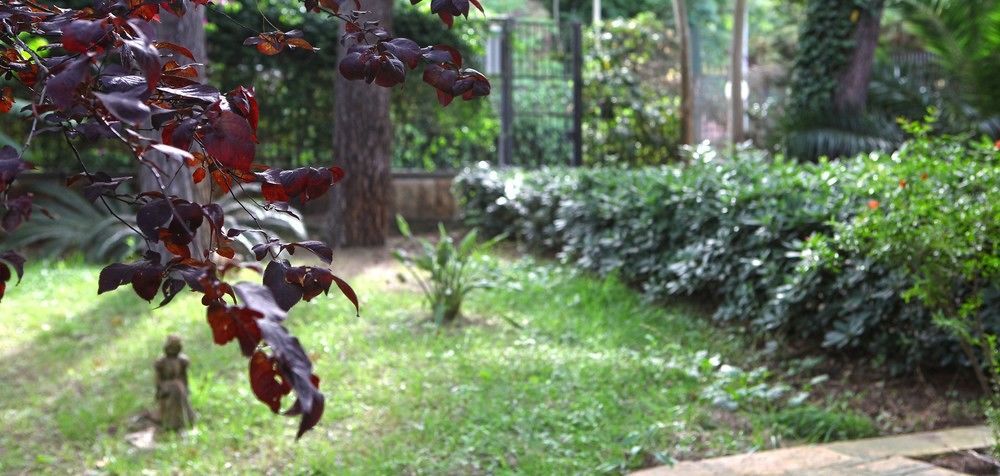 B&B Viale Dei Pini Castellaneta Marina Ngoại thất bức ảnh