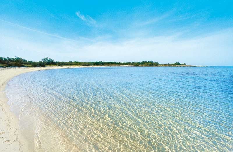 B&B Viale Dei Pini Castellaneta Marina Ngoại thất bức ảnh